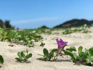 3毫米防水卷材价格，火烤卷材全过程视频